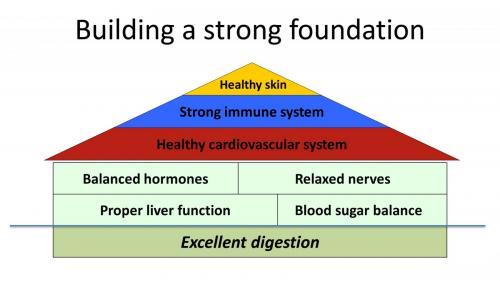 Digestion