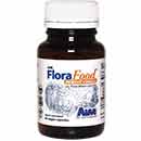 intestinal parasites and worm remedy
